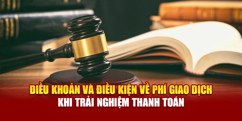 Điều khoản và điều kiện về phí giao dịch khi trải nghiệm thanh toán